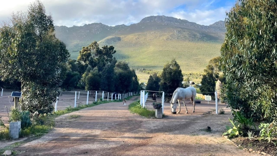 3 Bedroom Property for Sale in Firlands Western Cape